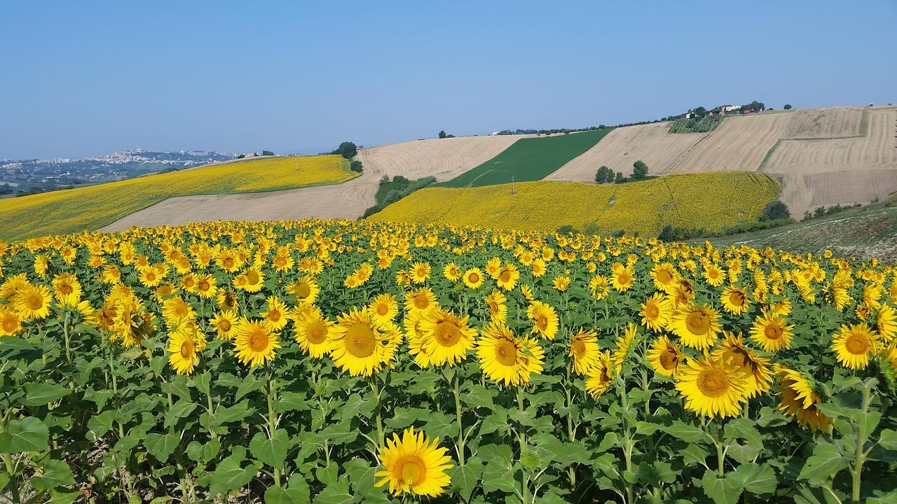 B&B Cervare Montelupone Esterno foto