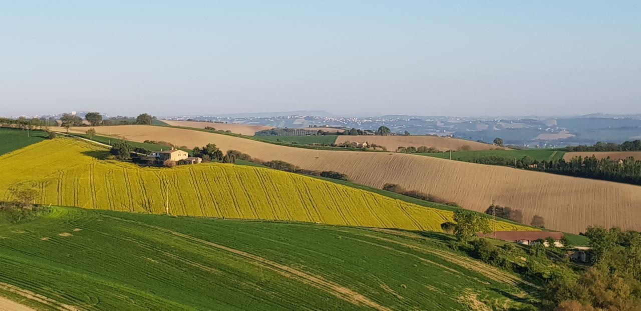 B&B Cervare Montelupone Esterno foto
