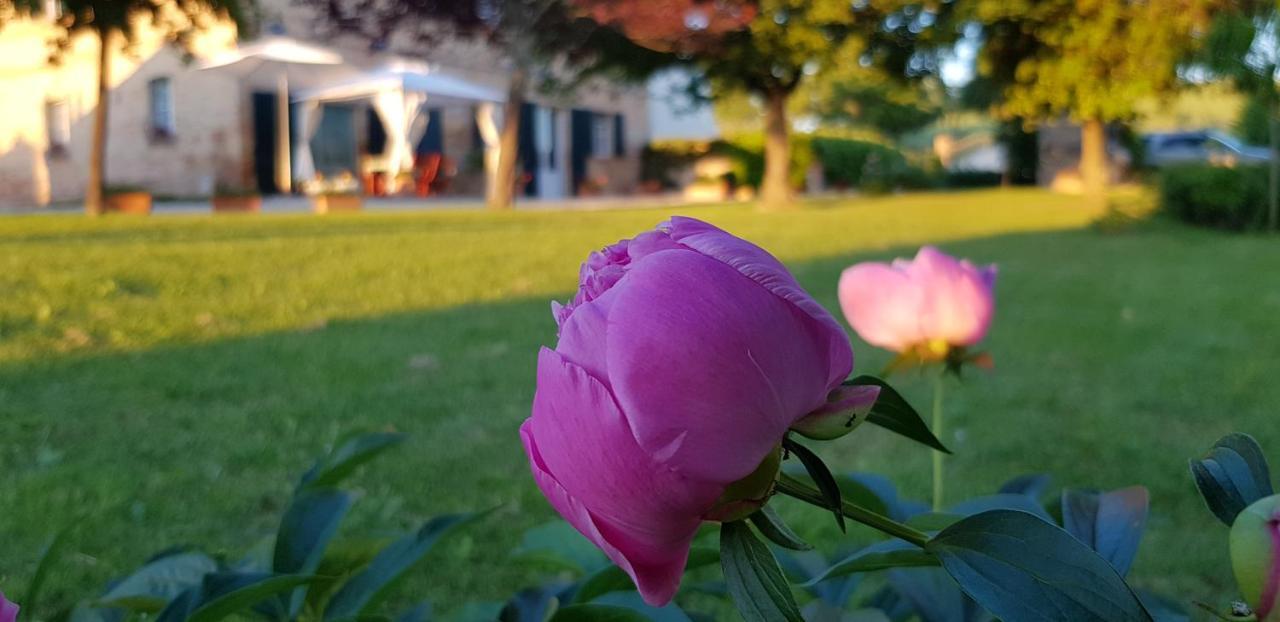 B&B Cervare Montelupone Esterno foto
